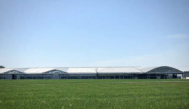 技术培训中的部署理解偏差及常见处理方法